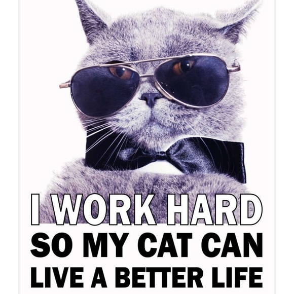 โจBookmark my closetโจ - Picture 4 of 11